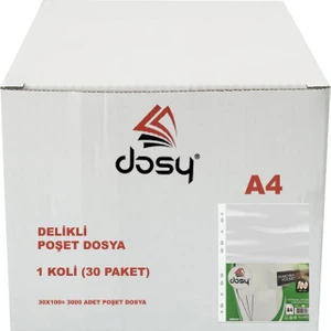 PP Poşet Dosya A4 1 KOLİ ( 30 PAKET )