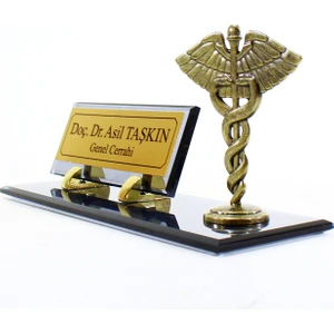 Doktor Eczacı Veteriner Fizyoterapist Klinik Psikolog Hemşire Cam Antik Krom Kaplama Tıp Sembollü Masa Isimliği