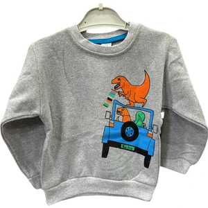 Kumrunun Dünyası Baskılı Şardonlu Sweat Erkek Çocuk Sweatshirt