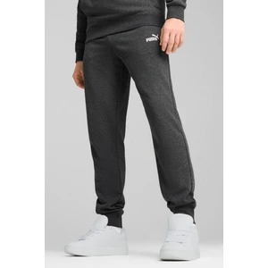 ESS No. 1 Logo Sweatpants GRI Erkek Eşofman Altı