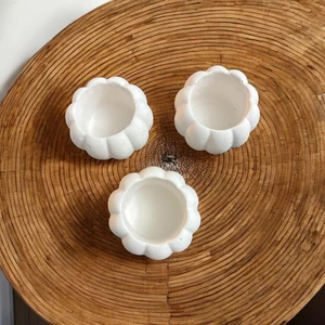 3 Lü Kabak Desenli Beyaz Sukulent Saksısı