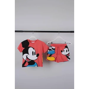 Baby Shop Gökkuşağı Dizaltı Çorap