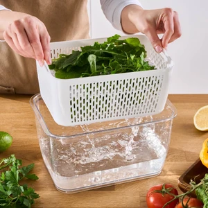 Citrus Sebze / Meyve Saklama Kabı L