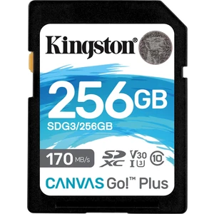 SDG3-256GB 256GB SDXC Canvas Go Plus 170R C10 UHS-I U3 V30 Hafıza Kartı