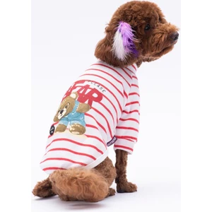 Kırmızı Bear With Me Baskılı Triko Sweat Kedi Köpek Kıyafeti