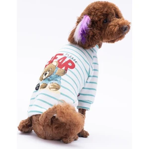 Yeşil Bear With Me Baskılı Triko Sweat Kedi Köpek Kıyafeti