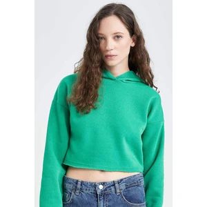 Crop Kapüşonlu Basic Düz Sweatshirt Z9510AZ22AU