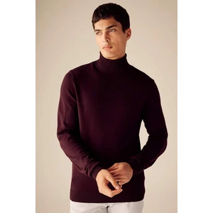 Slim Fit Dar Kesim Balıkçı Yaka Basic Düz Triko Kazak R1124AZ23WN