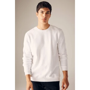 Regular Fit Bisiklet Yaka Kalın Basic Düz Sweatshirt T3777AZ23AU