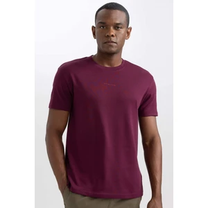 Regular Fit Bisiklet Yaka Baskılı Kısa Kollu Ağır Kumaş Tişört A6395AX23AU