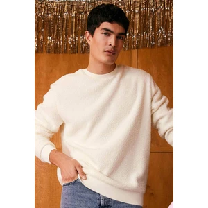 Regular Fit Bisiklet Yaka Basic Düz Pelüş Sweatshirt A6818AX23WN