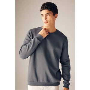 Antrasit Regular Fit Bisiklet Yaka Pamuklu Basic Düz Sweatshirt T3777AZ23AU