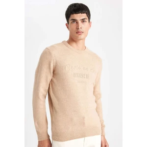 Relax Fit Bisiklet Yaka Baskılı Triko Kazak B3857AX23WN