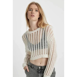 Regular Fit Bisiklet Yaka Kroşe Triko Kazak B0887AX23AU