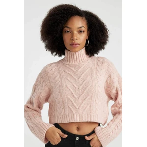 Regular Fit Yarım Balıkçı Yaka Triko Kazak B5443AX23WN