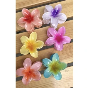 6 Adet Lotus Toka Renkli Kırılmaz
