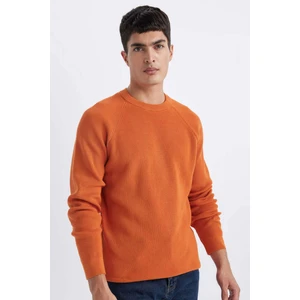 Standart Fit Normal Kesim Bisiklet Yaka Basic Düz Triko Kazak A8458AX24SP