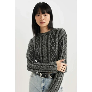 Regular Fit Bisiklet Yaka Triko Kazak C1518AX23WN