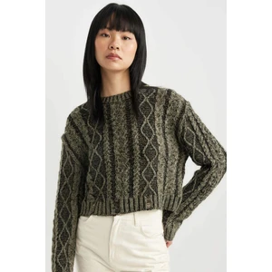 Regular Fit Bisiklet Yaka Triko Kazak C1518AX23WN