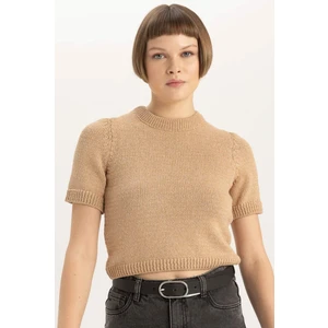 Fitted Bisiklet Yaka Kısa Kollu Triko Kazak C2056AX23CW