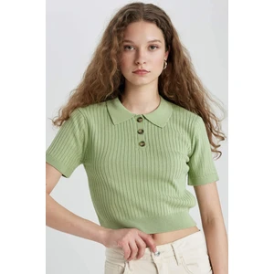 Slim Fit Dar Kesim Polo Yaka Kısa Kollu Triko Tişört N9752AZ24SP
