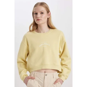 Boxy Fit Bisiklet Yaka Baskılı Kalın Sweatshirt C5385AX23CW