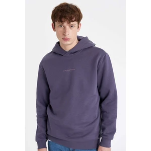 Regular Fit Kapüşonlu Baskılı Sweatshirt C6131AX24AU