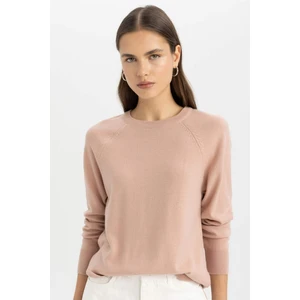 Regular Fit Yumuşak Dokulu Bisiklet Yaka Basic Düz Triko Kazak I6913AZ24WN