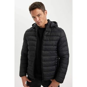 Su İtici Hafif Şişme Mont Slim Fit Dar Kesim Kapüşonlu Fermuarlı Cepli Mevsimlik N4661AZ24AU