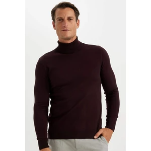 Slim Fit Dar Kesim Balıkçı Yaka Basic Düz Triko Kazak R1124AZ24WN