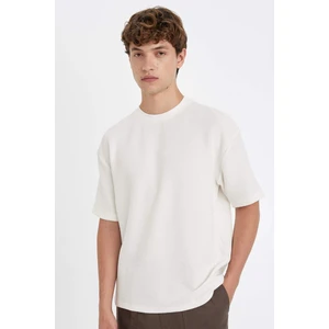 Boxy Fit Bisiklet Yaka Kısa Kollu Basic Düz Tişört C8724AX24AU