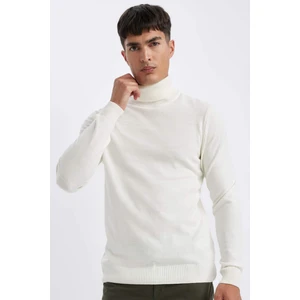Slim Fit Dar Kesim Balıkçı Yaka Basic Düz Triko Kazak R1124AZ24WN