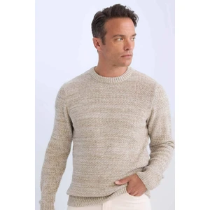 Standart Fit Normal Kesim Bisiklet Yaka Dokulu Triko Kazak R1175AZ24WN