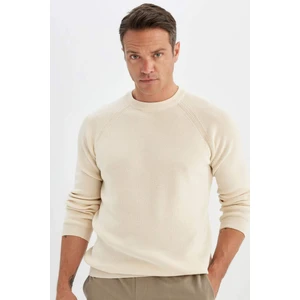 Standart Fit Bisiklet Yaka Triko Kazak A8458AX24WN