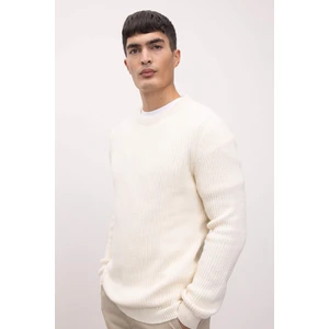 Standart Fit Normal Kesim Bisiklet Yaka Dokulu Triko Kazak C8814AX24WN