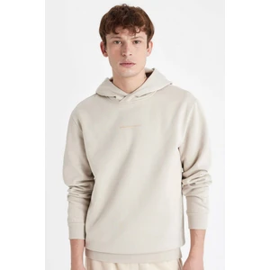 Regular Fit Kapüşonlu Baskılı Sweatshirt C6131AX24AU