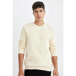 Regular Fit Bisiklet Yaka Kalın Basic Düz Sweatshirt T3777AZ24AU