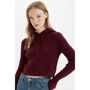 Regular Fit Basic Düz Kapüşonlu Crop Triko Kazak C7333AX24WN