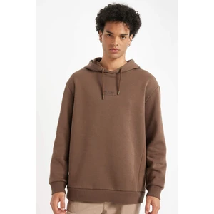 Relax Fit Kapüşonlu Baskılı Sweatshirt Y9652AZ24AU