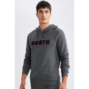 Regular Fit Kapüşonlu Baskılı Kalın Sweatshirt L5850AZ24AU