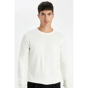 Standart Fit Normal Kesim Bisiklet Yaka Basic Düz Triko Kazak D1967AX24AU