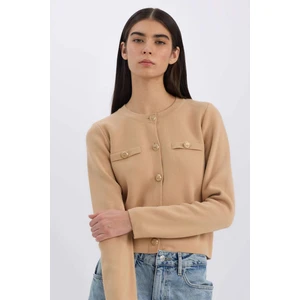 Regular Fit Bisiklet Yaka Basic Düz Altın Metal Düğmeli Triko Hırka C1500AX24WN