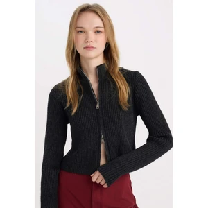 Slim Fit Dar Kesim Yarım Balıkçı Yaka Triko Hırka