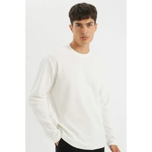 %100 Pamuk Regular Fit Bisiklet Yaka Waffle Basic Düz Uzun Kollu Tişört D2801AX24AU