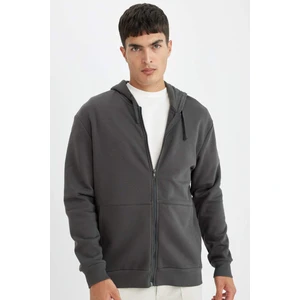 Comfort Regular Fit Rahat Kalıp Kapüşonlu Kalın İçi Yumuşak Tüylü Fermuarlı Sweatshirt D2323AX24AU
