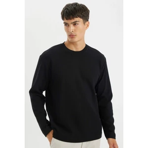 %100 Pamuk Regular Fit Bisiklet Yaka Waffle Basic Düz Uzun Kollu Tişört D2801AX24AU