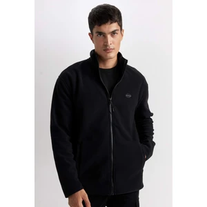 Relax Fit Dik Yaka Polar Fermuarlı Sweatshirt D2349AX24AU