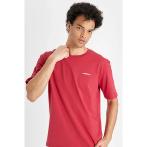 Regular Fit Bisiklet Yaka Baskılı Pamuklu Kısa Kollu Tişört B5077AX24AU