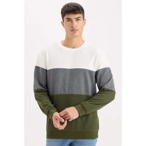 Regular Fit Bisiklet Yaka Renk Bloklu Jakarlı Sweatshirt D5393AX24AU