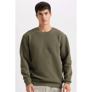 Regular Fit Bisiklet Yaka Jakarlı Sweatshirt D5392AX24AU